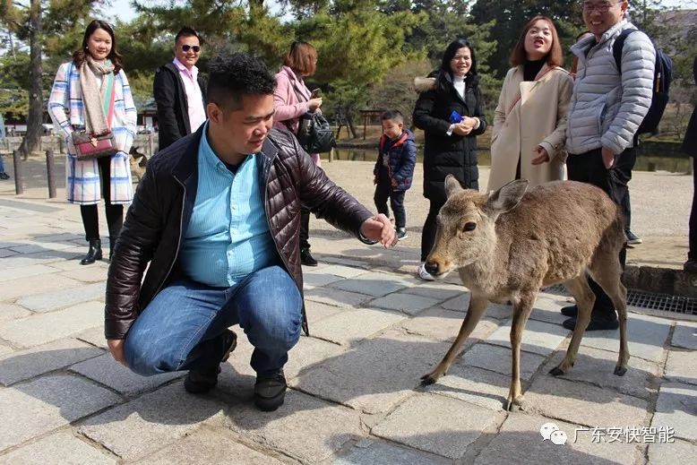 安快日本之旅